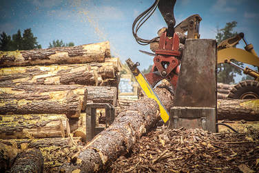 Lumber being cut